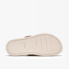 Arwell Step