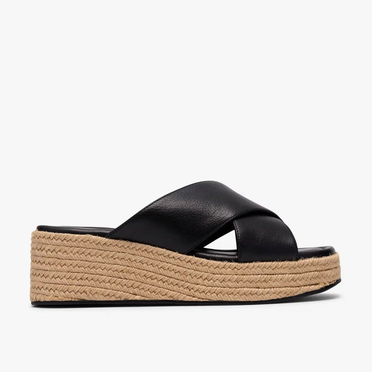 Tessiah Mule 2
