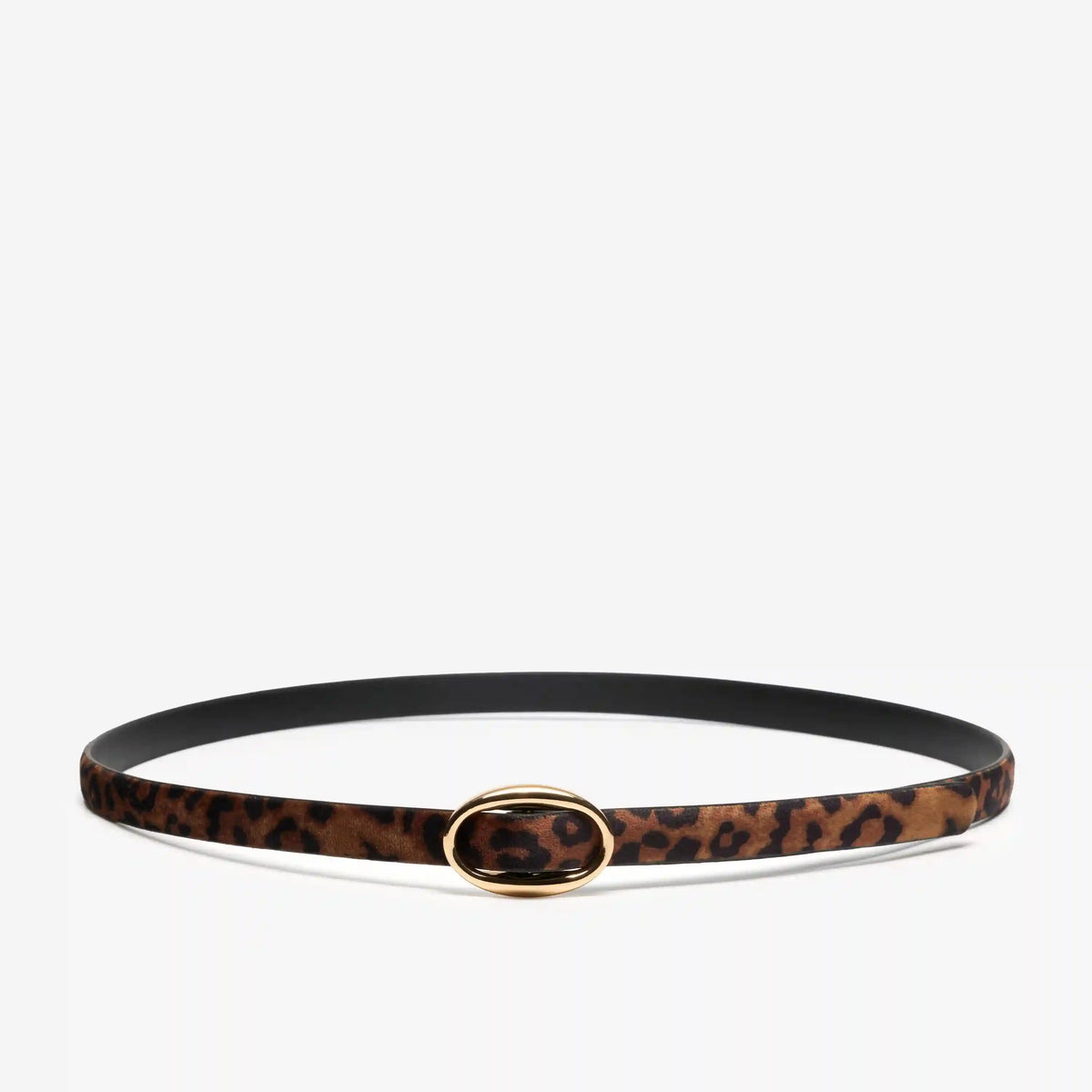 Narrow Interest Belt